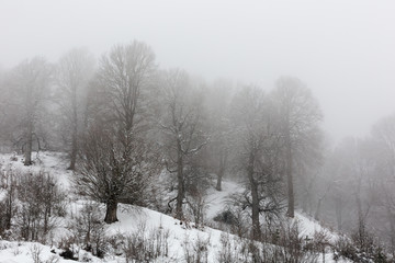 Fototapeta premium Winter in Derazno, Golestan, Iran