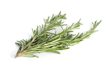 Fototapeta premium Rosmarienzweig