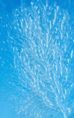 Bizarre Eiskristalle an einer Fensterscheibe