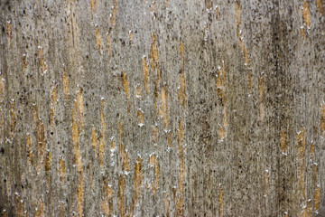 Wood texture background close up 4