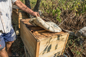 Beekeeper opens the hive, 10