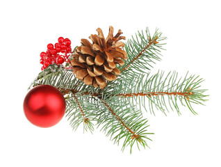 Glass ball, strobile, mistletoe and pine-tree branch isolated on white