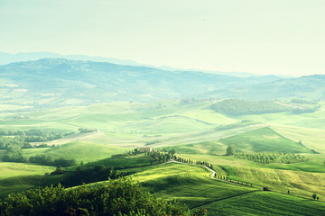 Naklejka premium tuscany sprig landscape, Italy