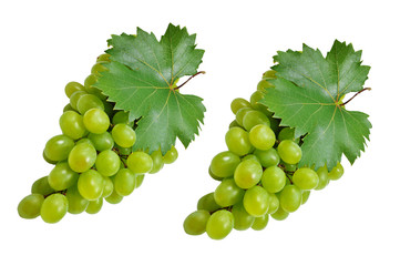 Obraz premium Grape wine white