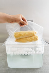 Sous vide cooking of corncobs in a sous vide precision immersion cooker with water and water balls