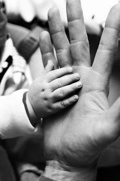 Father and baby's hands.