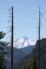 Mt. Shasta