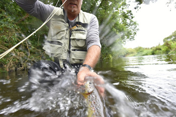 Fly-fisherman catching brown trout in river