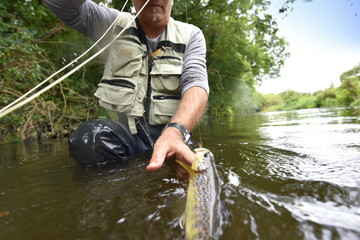 Fly-fisherman catching brown trout in river