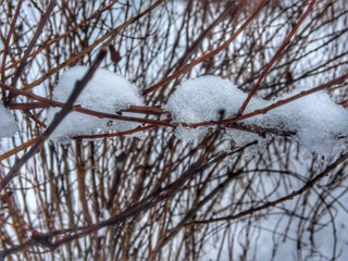Early spring in Saint-Petersburg