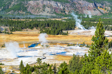 Upper Geyser Basin Landscape