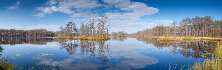 Panorama of forest lake. - 121598450