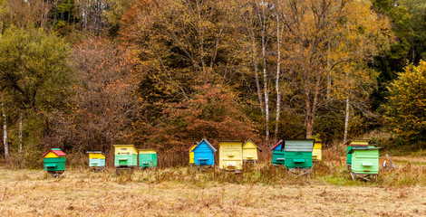 Colourful beehives. - 121598488