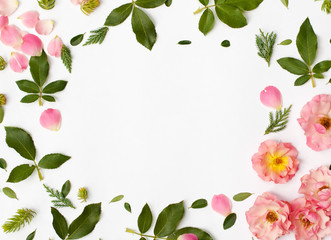 Round frame wreath pattern with rose flowers, petals, succulent