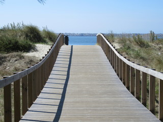 Naklejka premium Boardwalk over sand dunes
