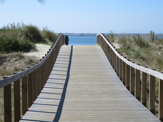 Boardwalk over sand dunes