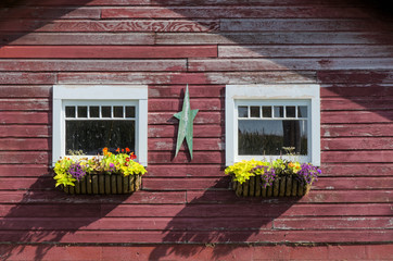 Pretty Flowers in Window Boxes on Building