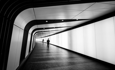 the follower