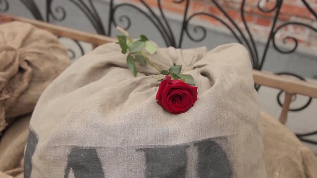 Red Rose lying on the bag in the cart