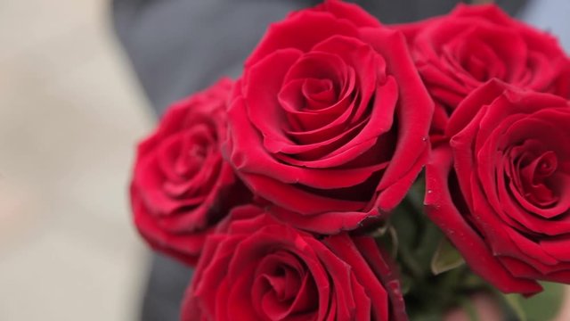 man in black keeps five red roses