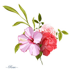 Bouquet of three roses. Chinese rose. Hand drawn. All elements are separated and easy to move. Can be used as design element in background, greeting cards, covers, etc. Vector stock.