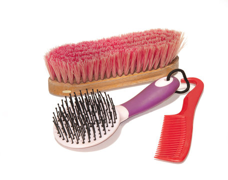 Horse grooming supplies - a soft brush, a mane and tail brush and a comb-hoofpick combo