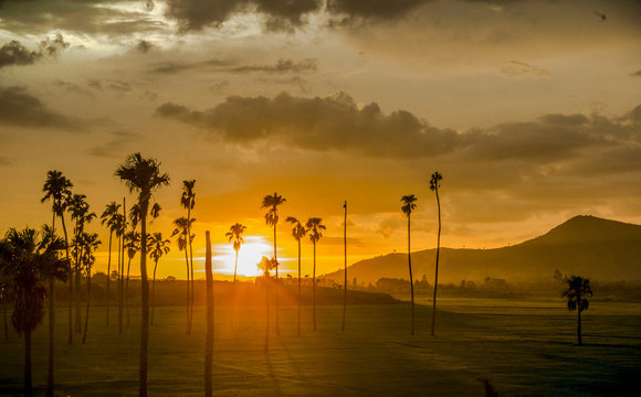 Golden hours