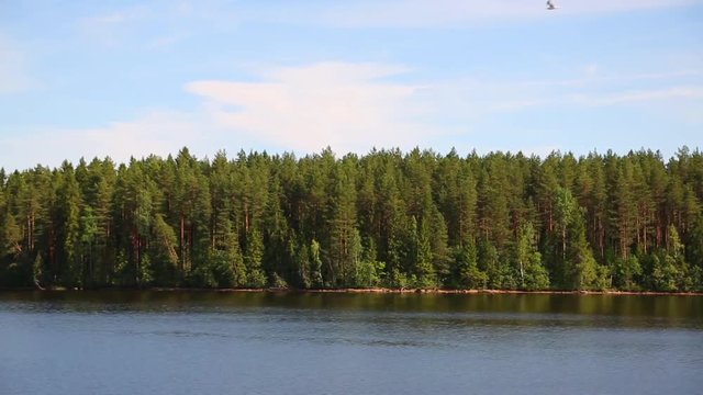 Landscape banks Svir river in northern Russia