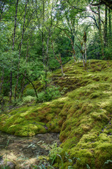 Paysage du Jura - Franche-Comté