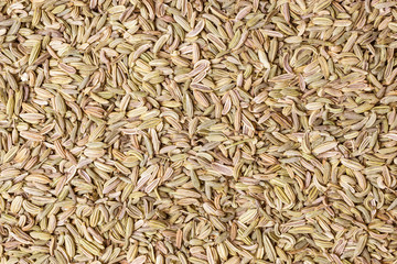 Fennel dill seeds as food background