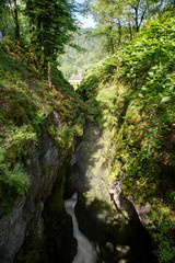 Fototapeta na wymiar Paysages du Jura - Franche-Comté