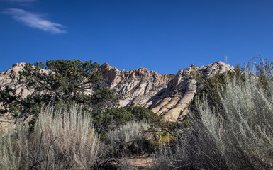white rock of Snow Canyon