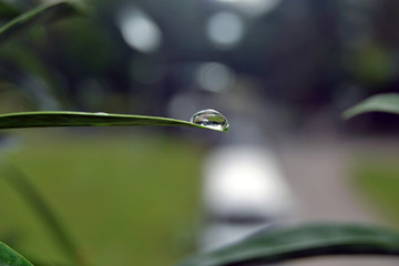 water drop