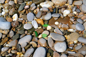 pebbles