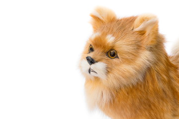 Obraz premium Dolly dog on white background