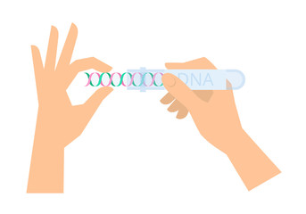 Hands with DNA helix and test-tube.