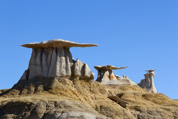 Stone Wings Rock Formation, Bisti Wilderness, New Mexico