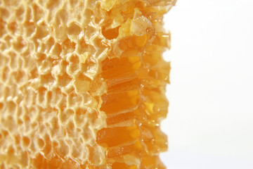 honeycomb closeup on white background