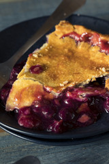 Homemade Sweet Concord Grape Pie