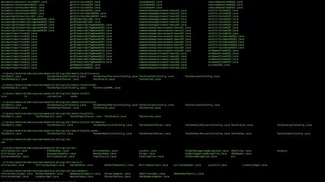 Directory listing computer interface,look like virus