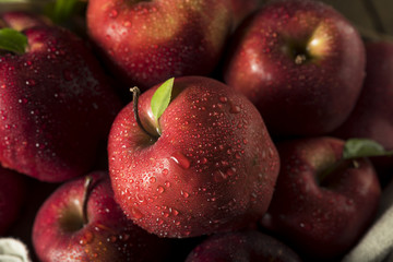 Raw Organic Red Delicious Apples