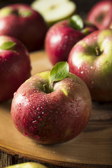 Raw Organic Red Mcintosh Apples