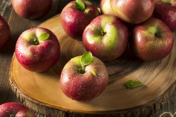Raw Organic Red Mcintosh Apples