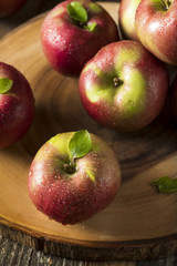 Raw Organic Red Mcintosh Apples