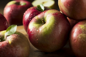 Raw Organic Red Mcintosh Apples