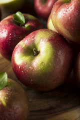 Raw Organic Red Mcintosh Apples