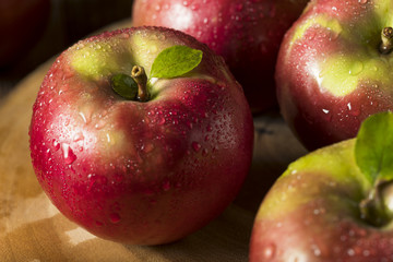 Raw Organic Red Mcintosh Apples