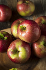 Raw Organic Red Mcintosh Apples