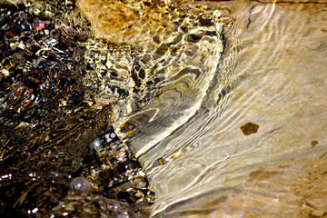 Reef Art -Image copyright Ann Bagnall 2016 All Rights Reserved