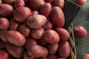 Raw Organic Red Potatoes